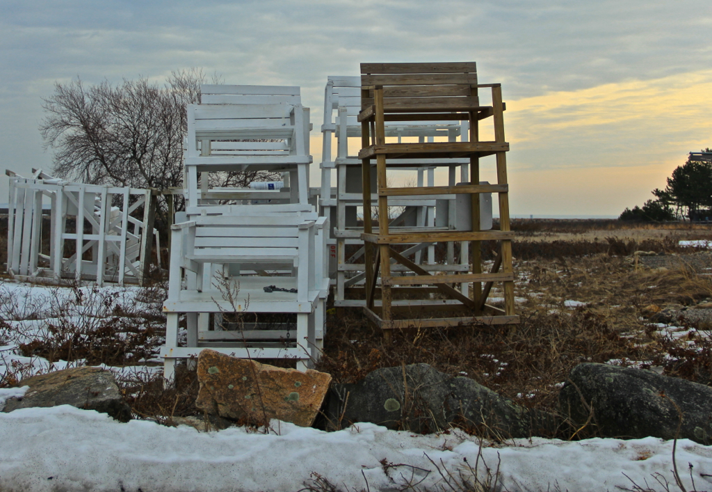 Groundhog says 6 more weeks of winter.  Guess it's too early to start thinking about these guys being back on the beach...