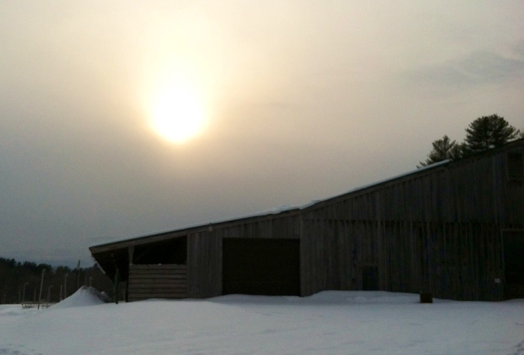 A big welcome from the sun at the finish of our snowshoe outing today :)