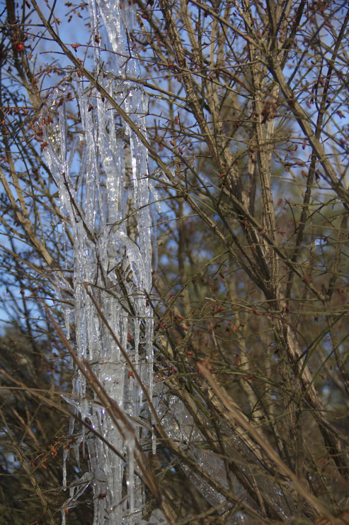 From snow melting off the roof...  