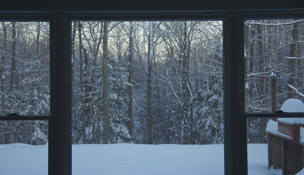 Love the winter view from the breezeway...  