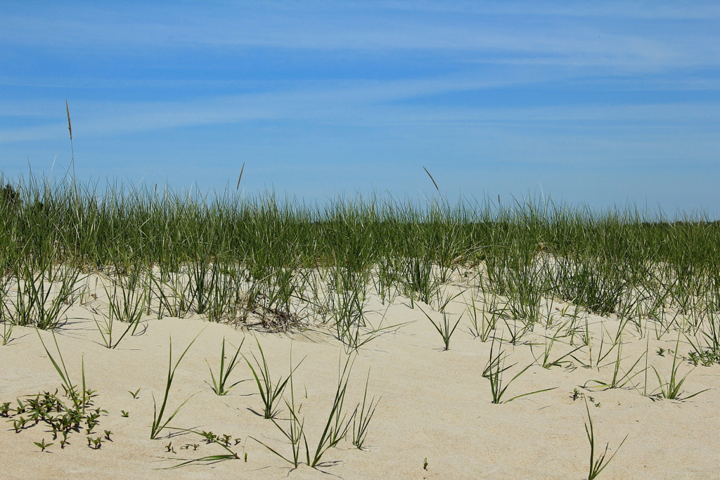 Beautiful beach day on Sunday