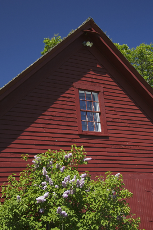 Blue sky, lilacs and an old red barn :)  