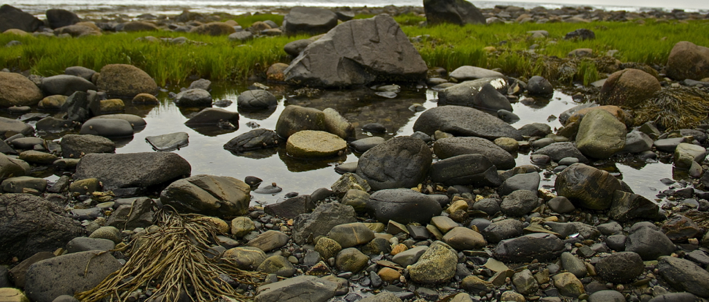 Low tide...