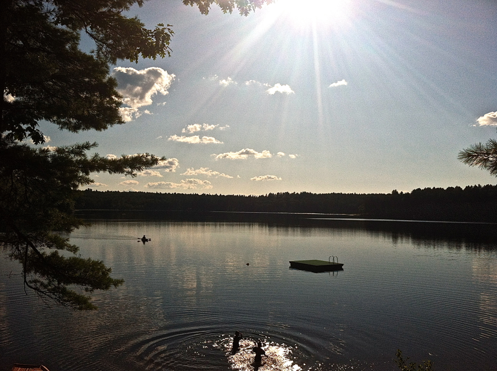 Summer's last stand on Scobie Pond last weekend...  