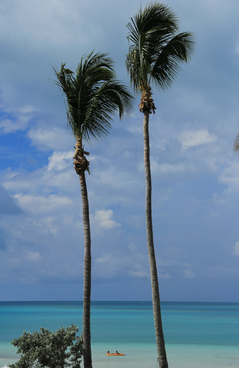 This pretty much sums up Cambridge Beaches tagline... the ahhh in Bermuda