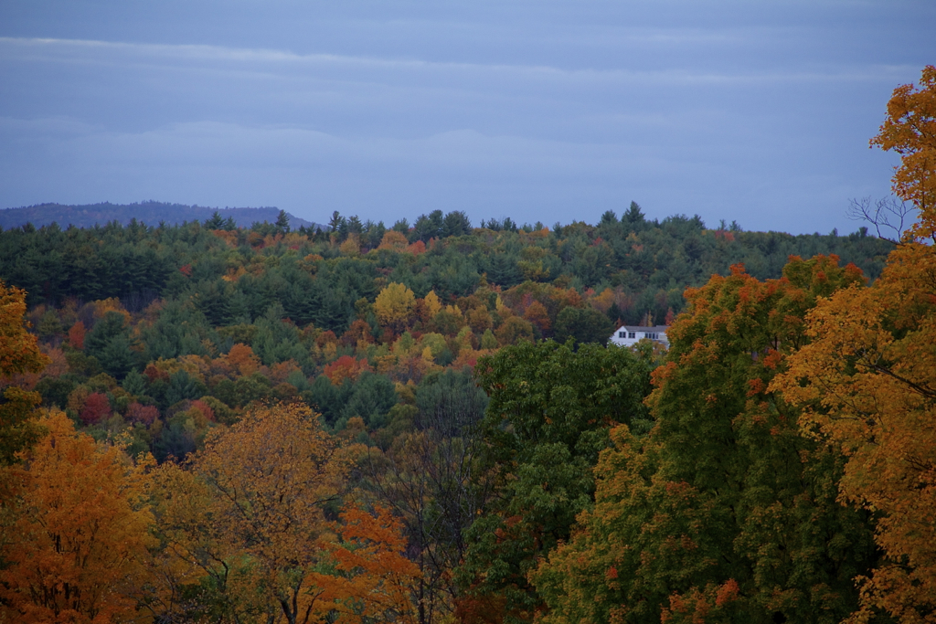 This house must have had quite the view of the foliage...  