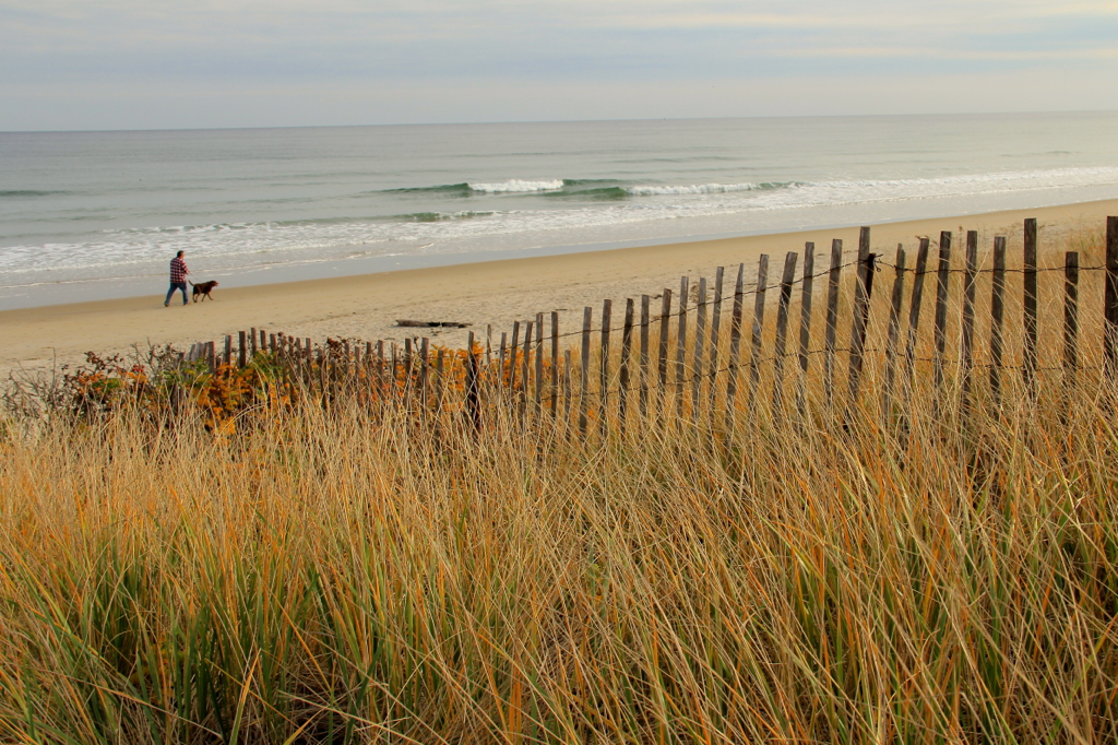 Soph & Steve enjoying a fall walk on the beach