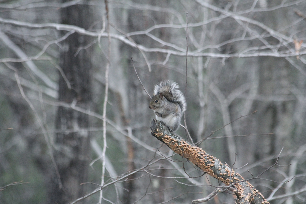 This little one likes living on the edge...